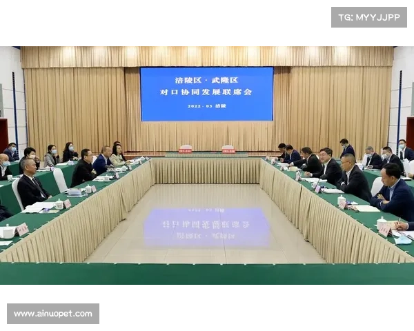 以评估团为核心推动战略落地加强各项工作协同促进区域发展提升行动力 以评估团为核心推动战略落地加强各项工作协同促进区域发展提升行动力